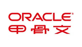 甲骨文軟件系統有限公司